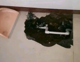 内江市卫生间测漏水多少钱
